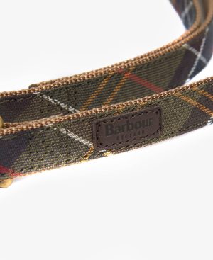 Tartan Webbing Dog Lead
