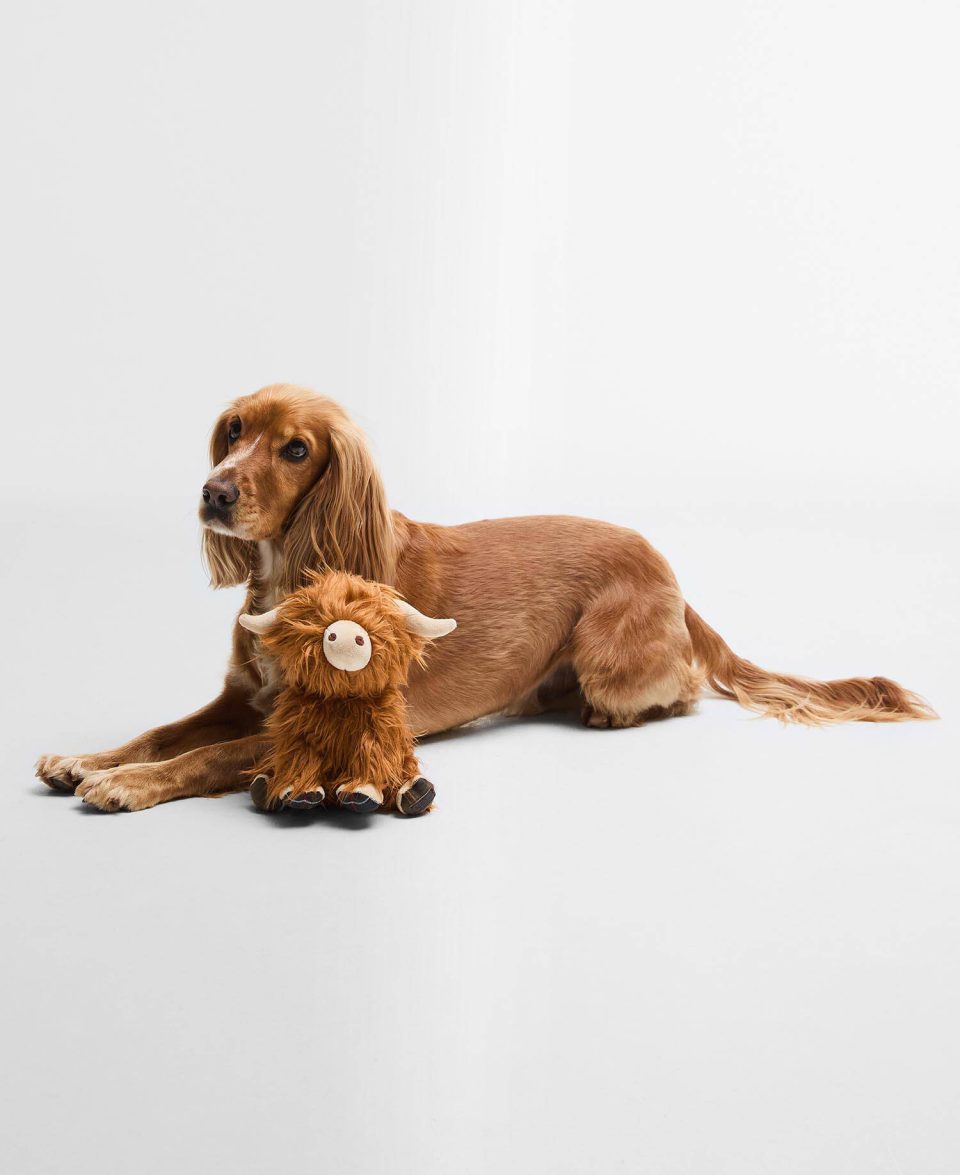 Highland Cow Dog Toy