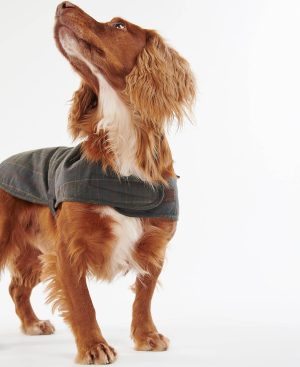 Tartan Waxed Dog Coat