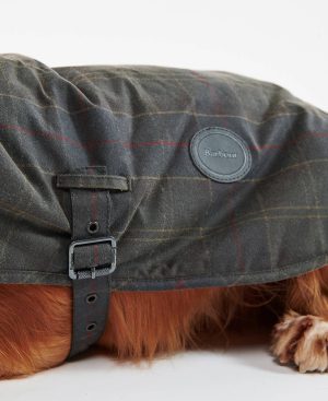 Tartan Waxed Dog Coat