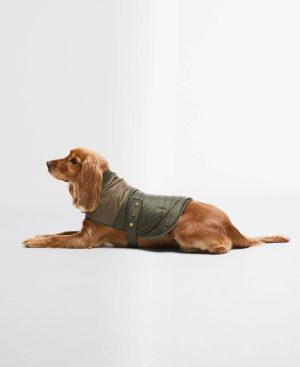 Brampton Quilted Dog Coat